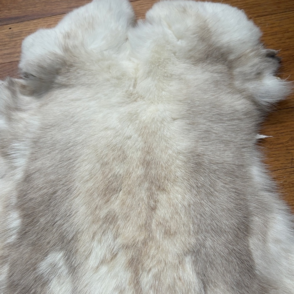 0758 rabbit pelt - Picture 2 of 3